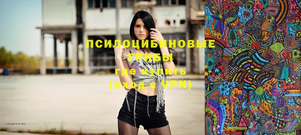 прущие крисы Чердынь