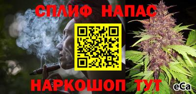 молекула духа Бийск