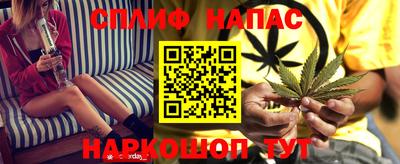 молекула духа Бийск