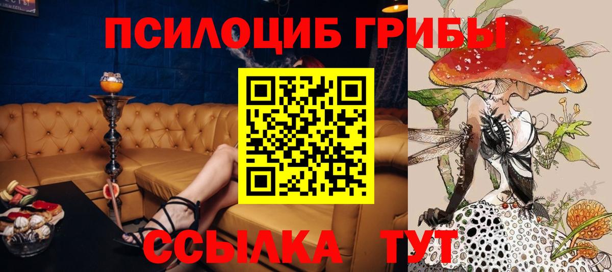 Псилоцибиновые грибы прущие грибы Коммунар