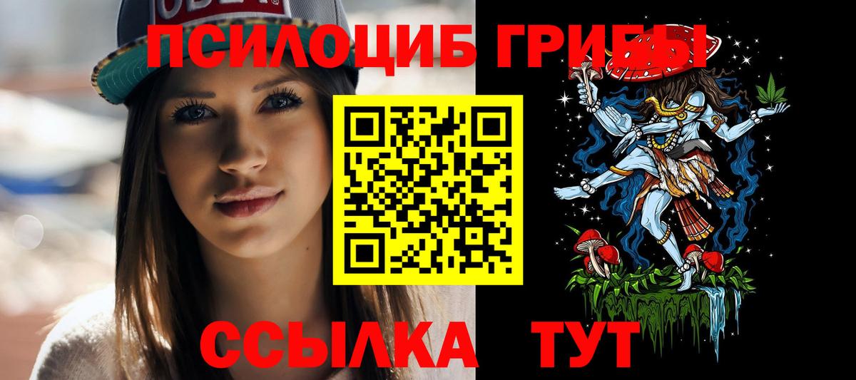 Псилоцибиновые грибы Psilocybe Коммунар