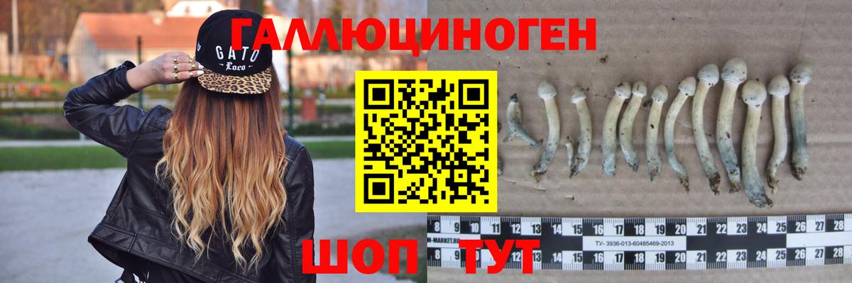 Галлюциногенные грибы MAGIC MUSHROOMS  Вход с VPN  Коммунар  Псилоцибиновые грибы Cubensis 