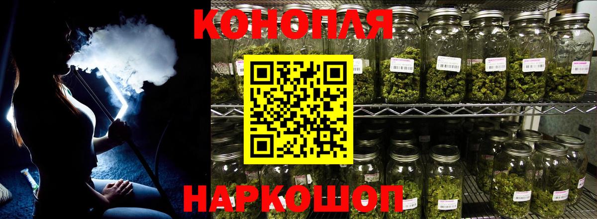 Бошки Шишки планчик Коммунар